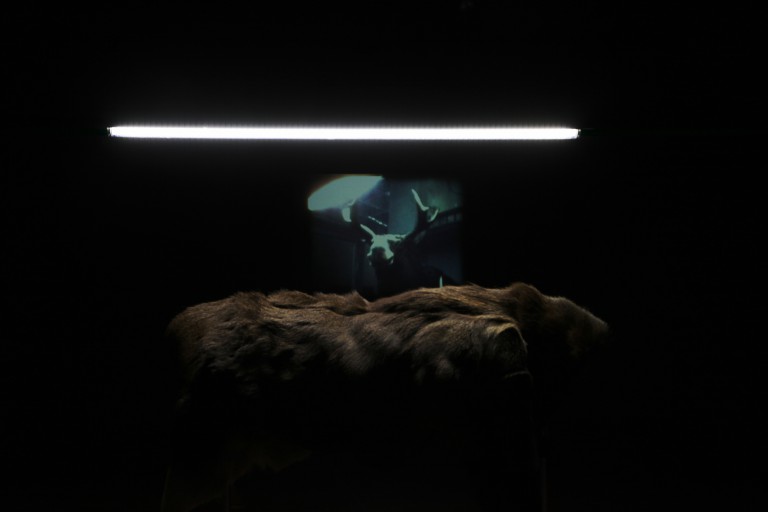 STEFKA AMMON Works and projects by Stefka Ammon